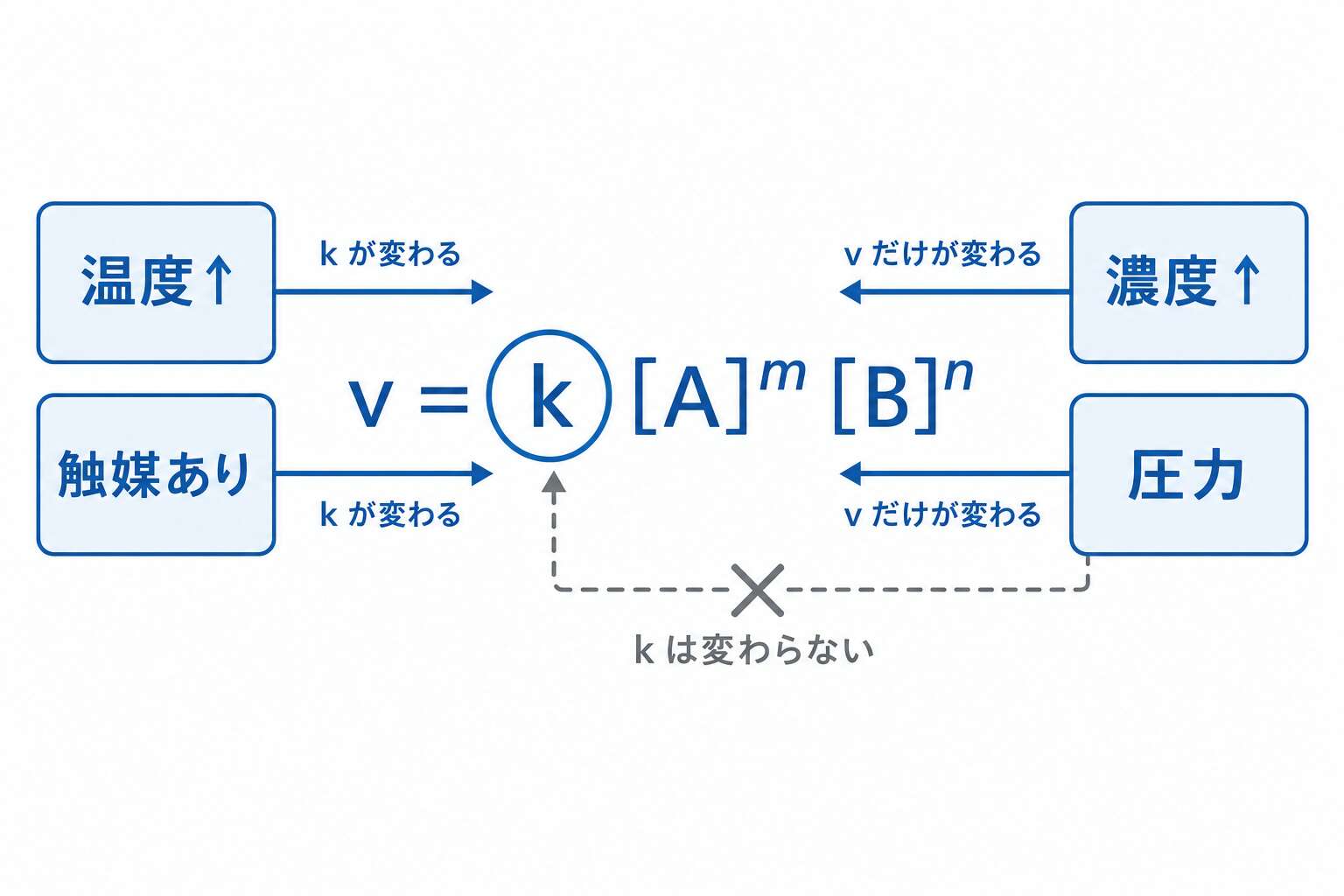 速度定数kが変わる要因と反応速度vだけが変わる要因