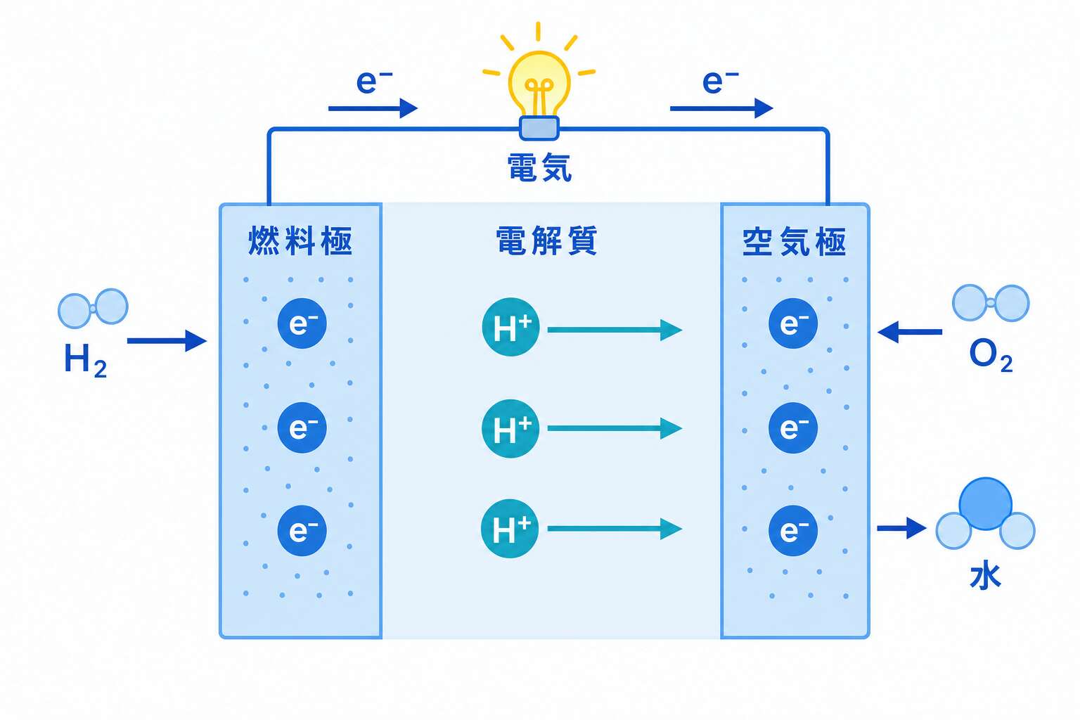 燃料電池の発電原理(電極と電解質の断面)