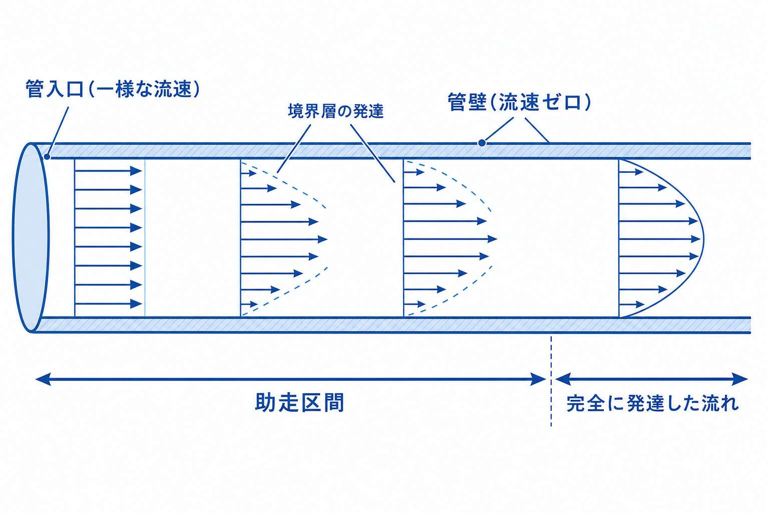 助走区間と完全に発達した流れ