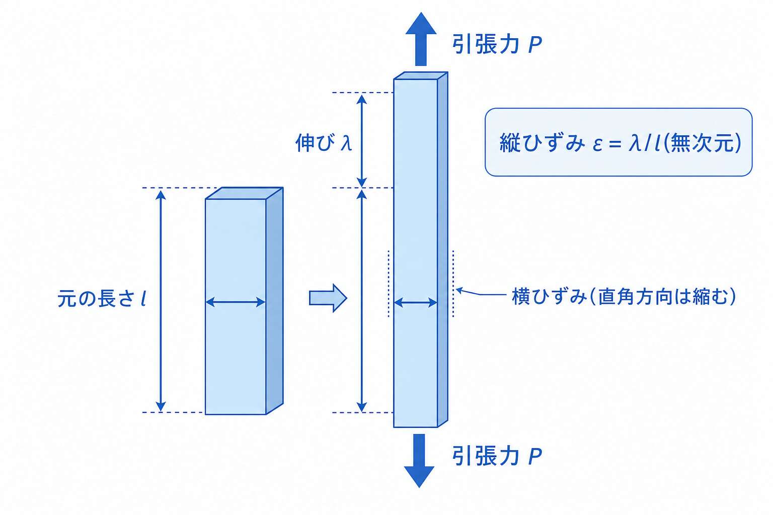 縦ひずみと横ひずみ