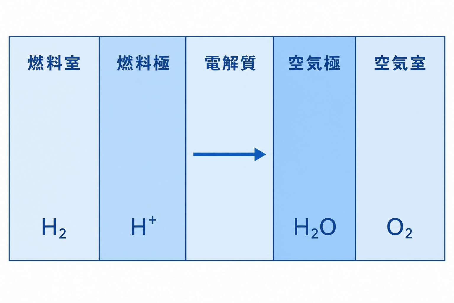 燃料電池セルの構造
